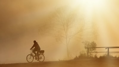 Cyklist i dimman över ett öppet landskap. 