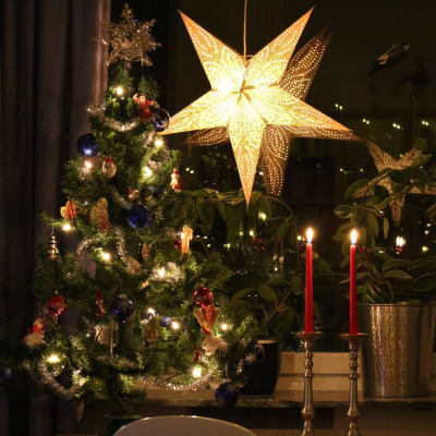 Julstjärna i fönster, julgran, två röda stearinljus och ett skrivbord. Stämningsbild. Skymning.