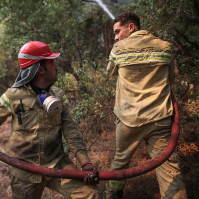 Palomiehet sammuttamassa Turkin metsäpaloja.