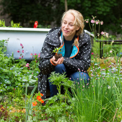 Harriet Abrahamsson på sin odlingslott i Toimela odlingsträdgård.