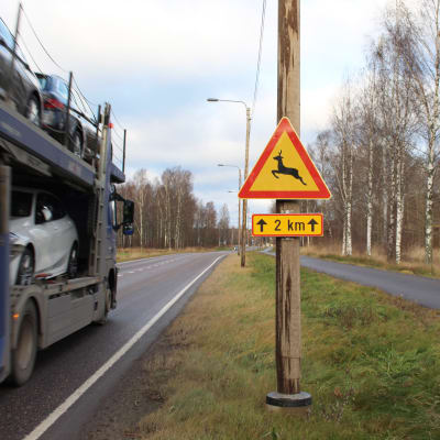 Ett trafikmärke som varnar för hjort