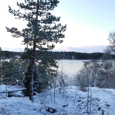 En utsiktsplats över vatten i Bergvalla.