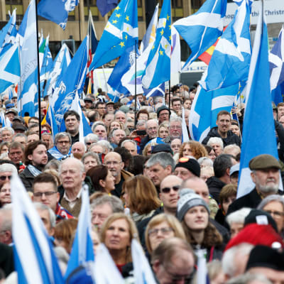 Ihmisjoukko Skotlannin sinivalkoisten lippujen kera.