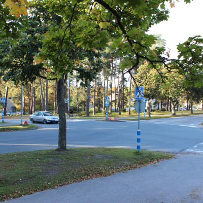 Korsningen Flemingsgatan och Raseborgsvägen