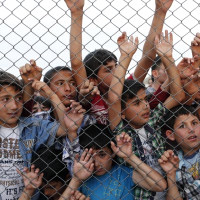 Syriska flyktingbarn bakom taggtrådsstängsel i turkiskt flyktingläger nära Gaziantep 23.4.2016