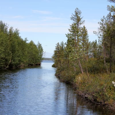 Kuuva-kanva