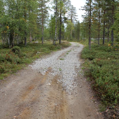 polku