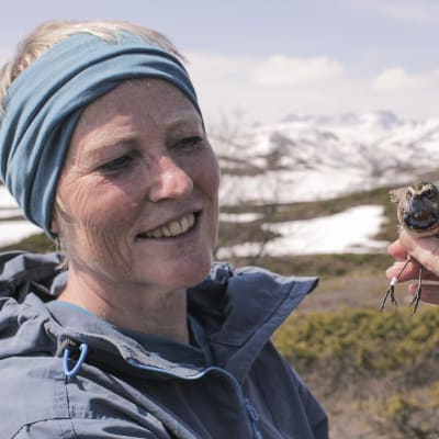 Norjalainen dokumenttisarja kertoo mielenkiintoisista luonnontieteellisistä ilmiöistä.