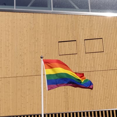 En regnbågsflagga svajar i toppen på en flaggstång utanför biblioteket Ode.