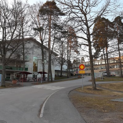 En bild på Raseborgs sjukhus byggnader och vägen som leder fram till dem. 