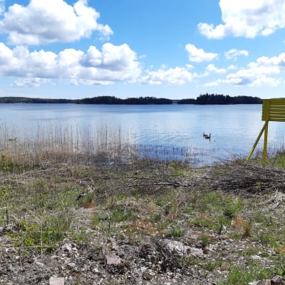 Vy över stället där det planeras badplats och brygga på Pickala-Marsudden.