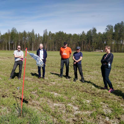 Ministerit Mikkonen ja Leppä Kiteellä tutustumassa valkoposkihanhien jälkiin. 