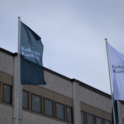 Flaggor utanför stadshuset i Karleby.