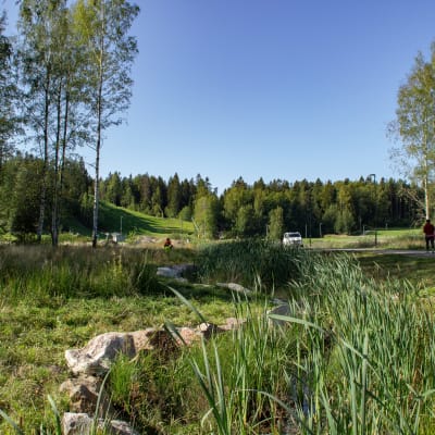 Diket som slingrar sig vid västra åstranden. 