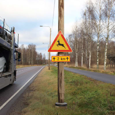 Ett trafikmärke som varnar för hjort