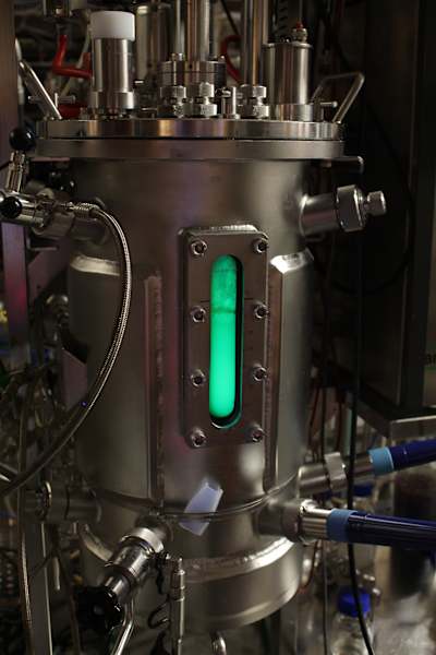 bioreaktori jossa kasvaa vihreänä fluoresoivaa proteiinia