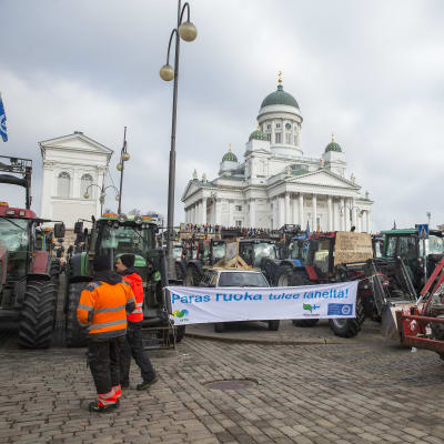 Jordbrukarnas traktorer framför Helsingfors Domkyrka
