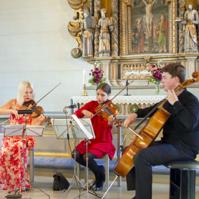 Artende-kvartetten spelar i Solf kyrka