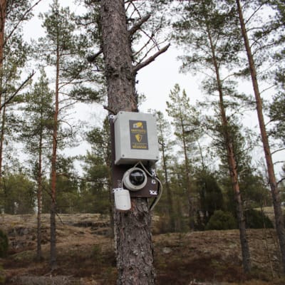 En övervakningskamera.