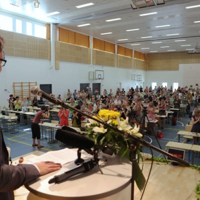 De grönas partikongress i Jämsä 2014