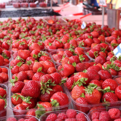 jordgubbar på Salutorget