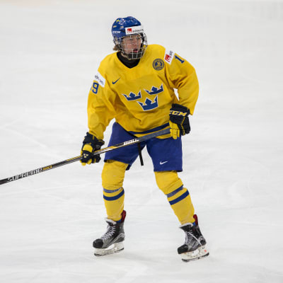 Alexander Nylander är ett svenskt ishockeylöfte.