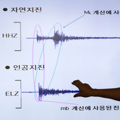Sydkoreansk seismograf efter ett misstänkt kärnvapenprov i Nordkorea.