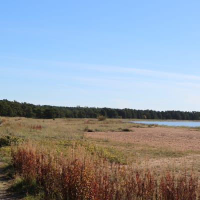 Bellevuestranden i Hangö