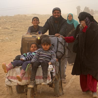 flyktingar från Mosul