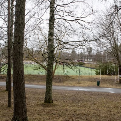 Amiksen tekonurmi ja sen viereistä arboretumia Lappeenrannassa.