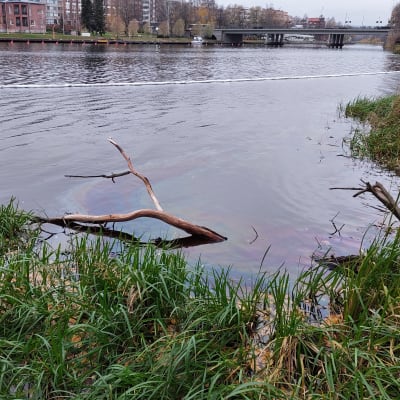 Öljyä vedenpinnalla.