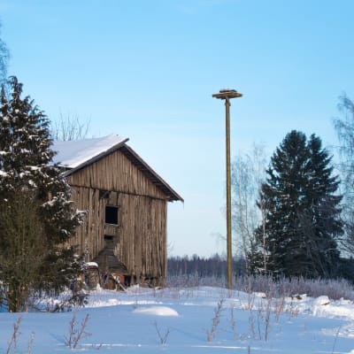 Nybyggt storkbo.