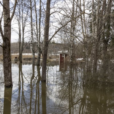 Tulva peltoa Tuusulan jokitiellä. Kuvattu 16,04,2022