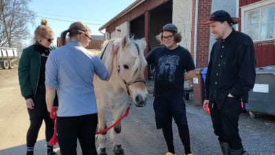 Bandet bad Sauna träffar en häst.
