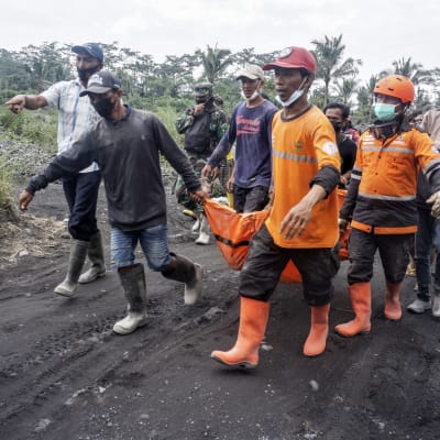 Räddningsarbetare bär en person som dött i vulkanutbrottet.