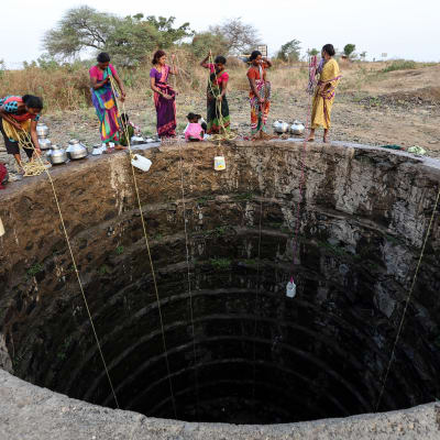 Bybor samlar vatten från en nästan uttorkad brunn i byn Rasegaon i Indien