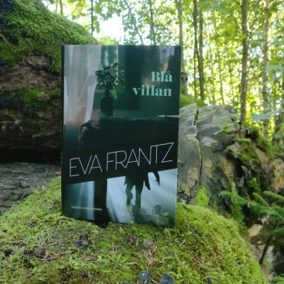 Eva Frantz roman Blå Villan i en blandskog ute i Åbo.