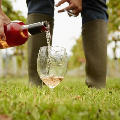 En person som häller vin i ett vinglas. Utomhus på en gräsmatta.
