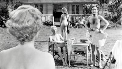 Kuva nudistisiirtolan puutarhasta, jossa alaston mies yrittää hätäisen näköisenä peitellä itseään sanomalehdellä alastoman naisen katsoessa häntä. Kuva elokuvasta Viikunanlehtiä ja lakkoilua.