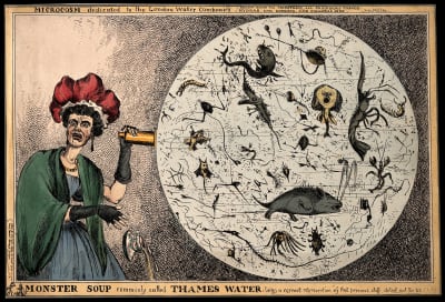 Karikatyr av förskräckt dam som tittar på Themsens smutsiga vatten i mikroskop.