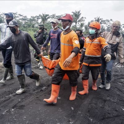 Räddningsarbetare bär en person som dött i vulkanutbrottet.