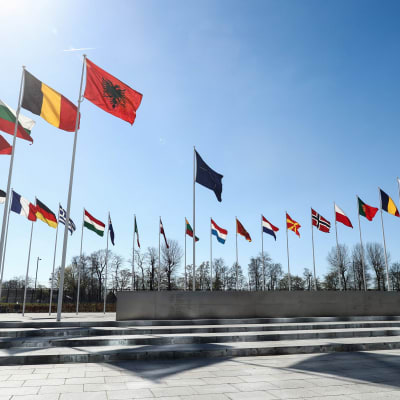 Jäsenmaiden lippuja Naton päämajan pihassa Brysselissä.