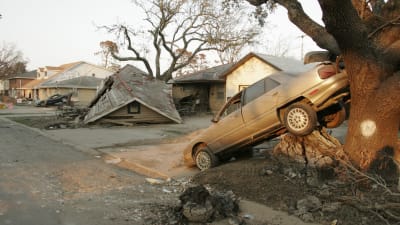 Förödelse i en förort till New Orleans efter orkanen Katrina.