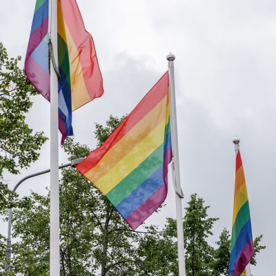 Pride-lippuja liehuu.