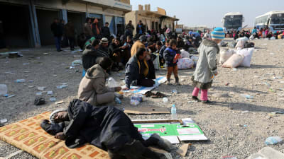 Flyktingar från östra Mosul väntar på transport till flyktingläger 27.11.2017