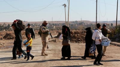 Civila försöker hitta en säker väg i Mosul bland irakiska styrkor, december 2016.