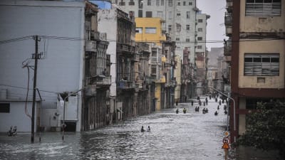 Människor vadar längs en översvämmad gata i Havanna efter orkanen Irma 10.9.2017
