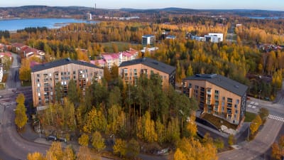 Puukuokka trähusområde i Kuopio
