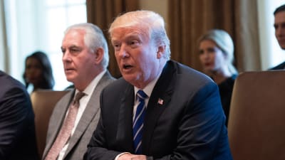 President Donald Trump och utrikesminister Rex Tillerson under regeringens sammanträde i Vita huset den 20 november 2017