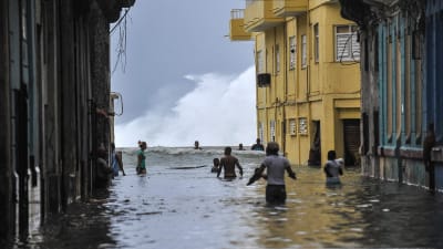 Människor vadar i midjehögt vatten nära paradgatan Malecón i Havanna på söndagen 10.9.2017